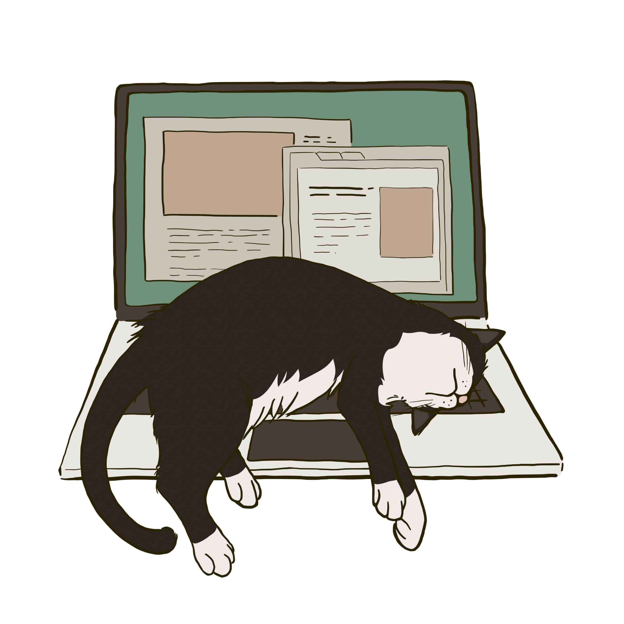 Cat resting on computer