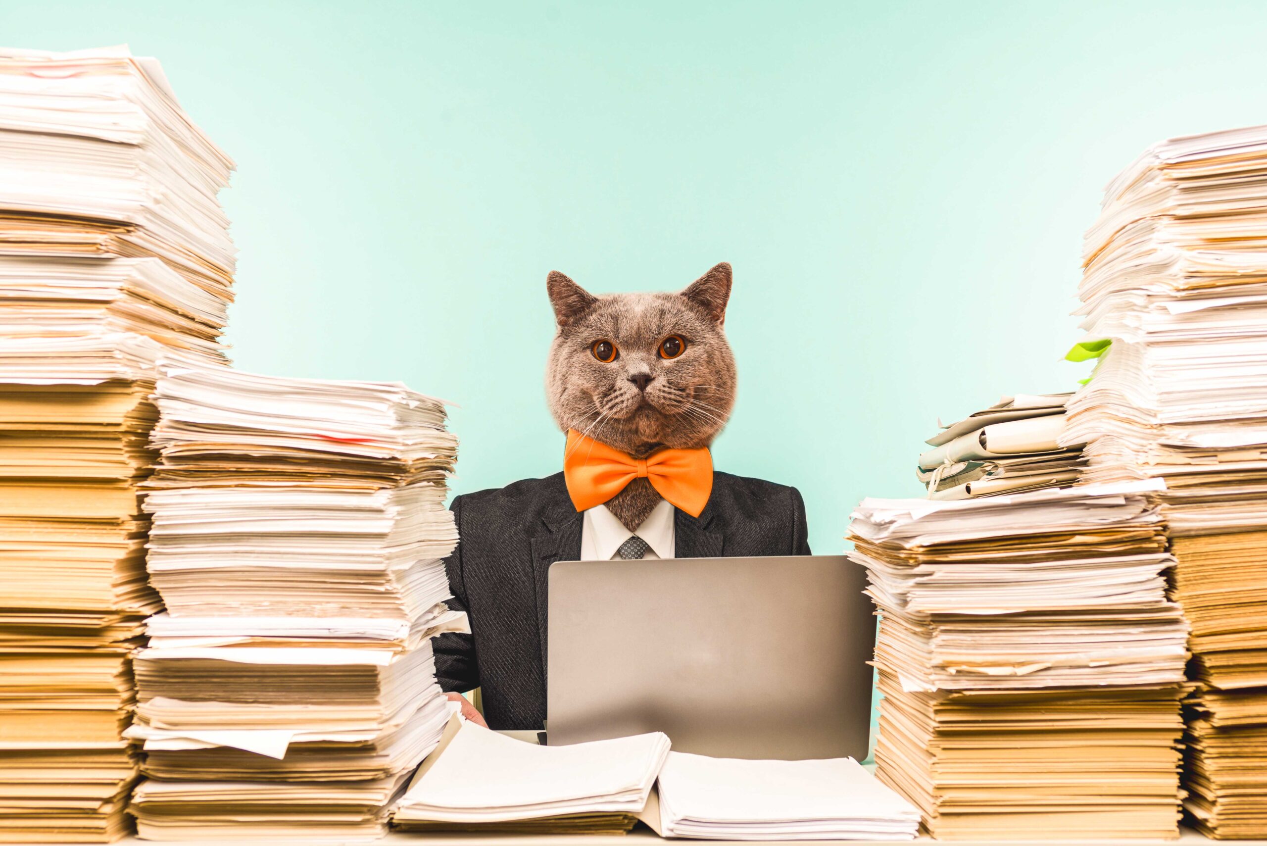 Abstract modern collage. The man with the head of funny cat with orange bow-tie male accountant or company manager works in an office in view of the accumulated paper work.