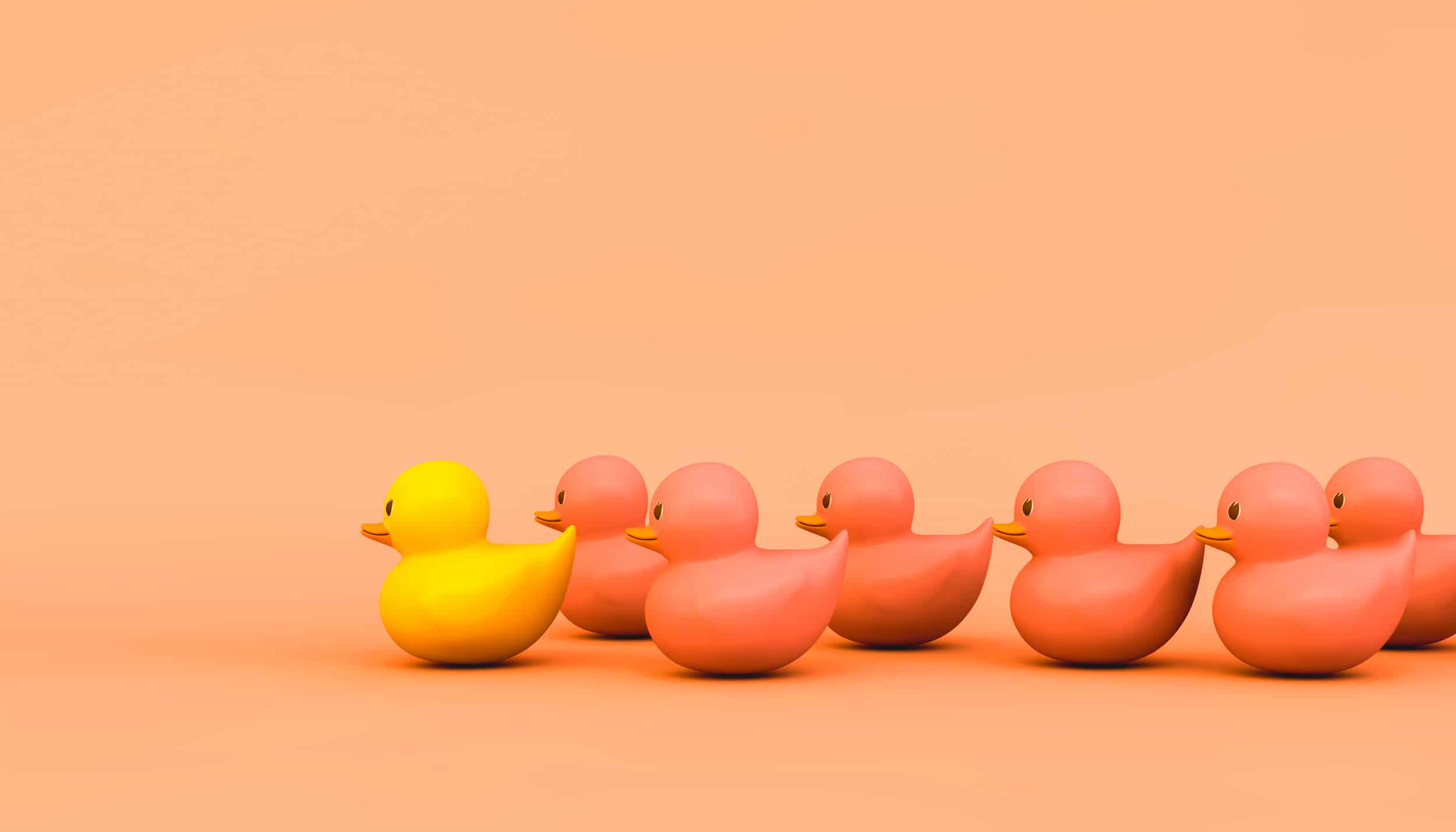 pink rubber ducks with yellow leader